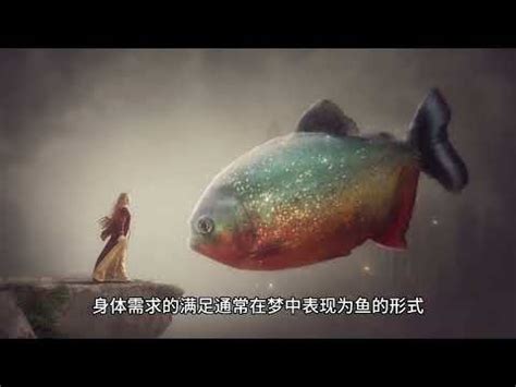 魚代表數字|夢到魚代表數字